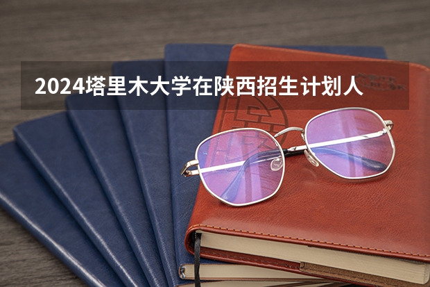 2024塔里木大学在陕西招生计划人数