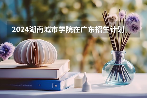 2024湖南城市学院在广东招生计划人数
