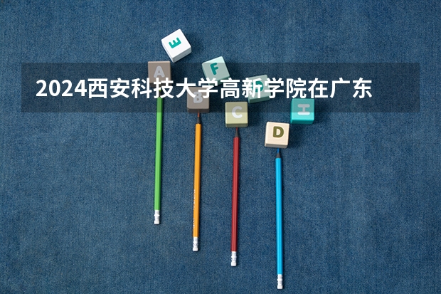 2024西安科技大学高新学院在广东招生计划人数