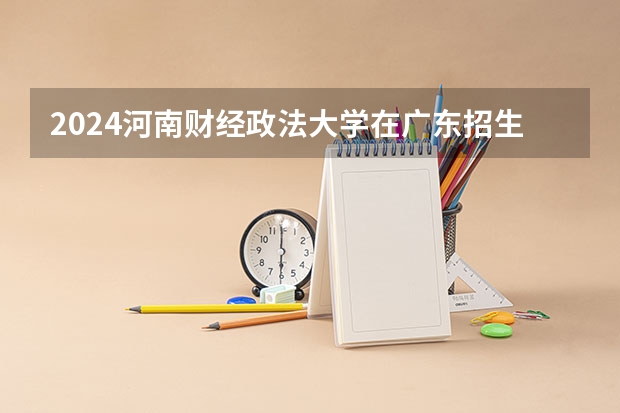 2024河南财经政法大学在广东招生计划人数
