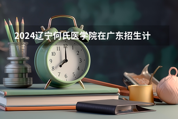 2024辽宁何氏医学院在广东招生计划人数