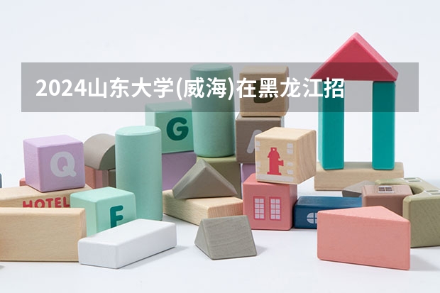 2024山东大学(威海)在黑龙江招生计划人数