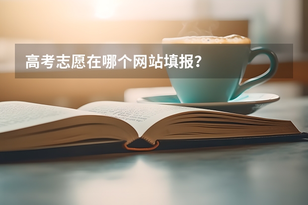 高考志愿在哪个网站填报？