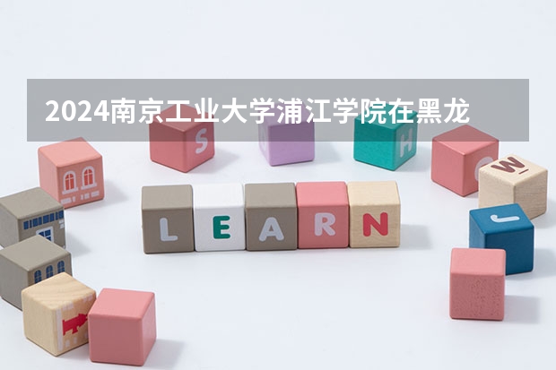 2024南京工业大学浦江学院在黑龙江招生计划人数
