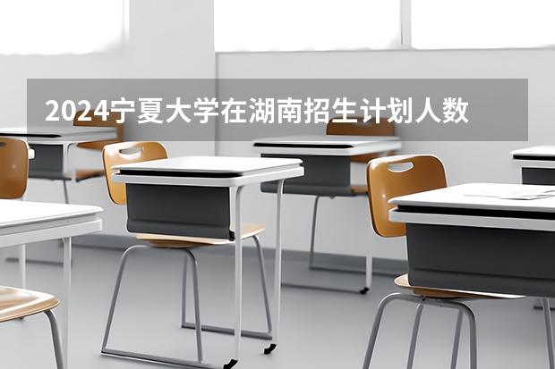 2024宁夏大学在湖南招生计划人数