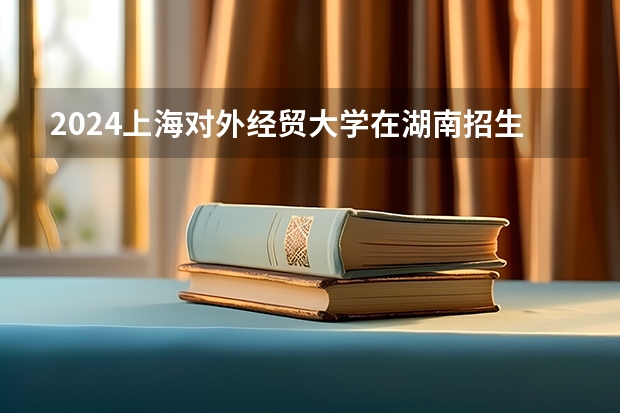2024上海对外经贸大学在湖南招生计划人数