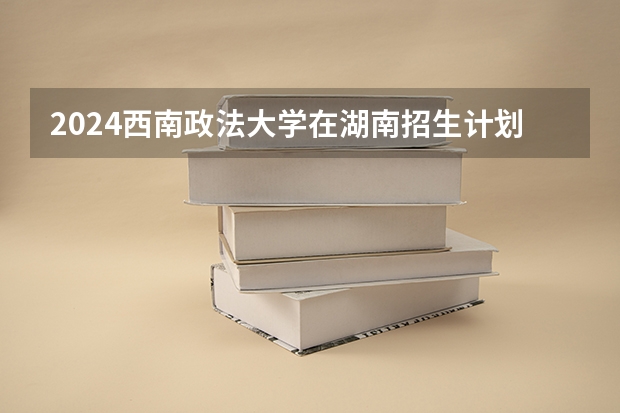 2024西南政法大学在湖南招生计划人数