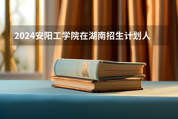 2024安阳工学院在湖南招生计划人数