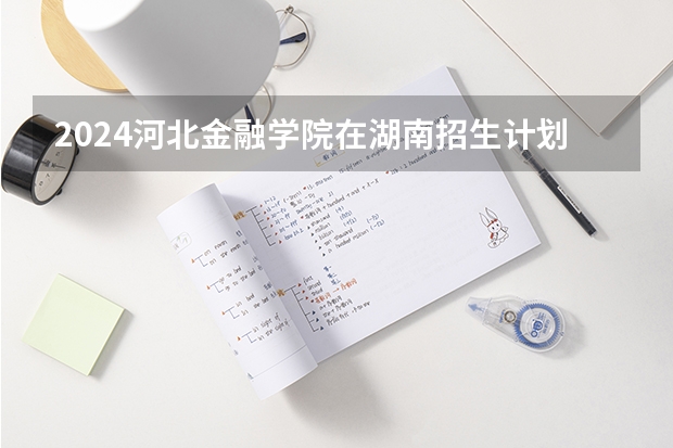 2024河北金融学院在湖南招生计划人数