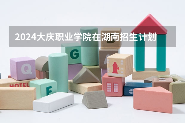 2024大庆职业学院在湖南招生计划人数