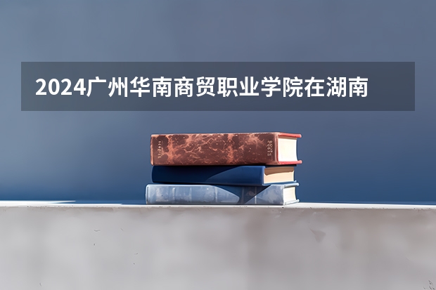 2024广州华南商贸职业学院在湖南招生计划人数