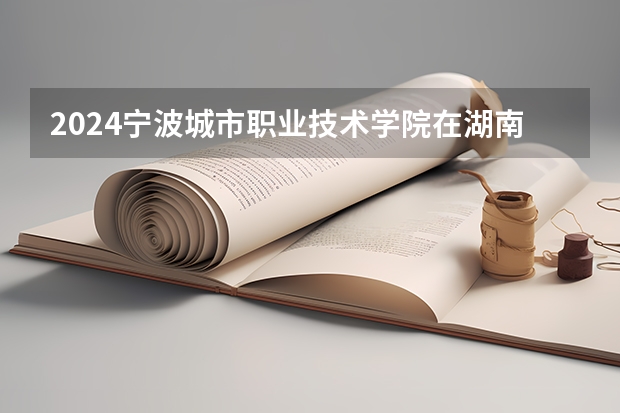 2024宁波城市职业技术学院在湖南招生计划人数
