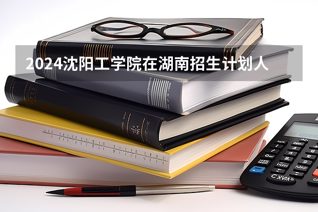 2024沈阳工学院在湖南招生计划人数