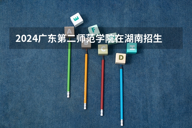 2024广东第二师范学院在湖南招生计划人数