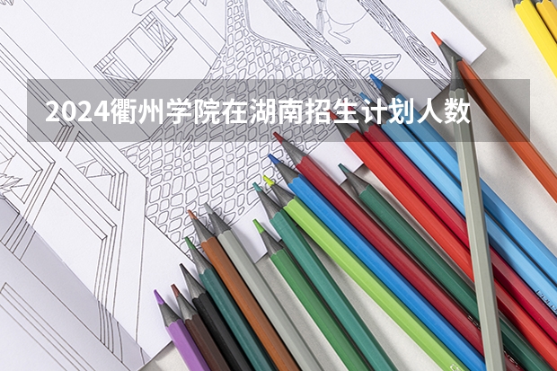 2024衢州学院在湖南招生计划人数