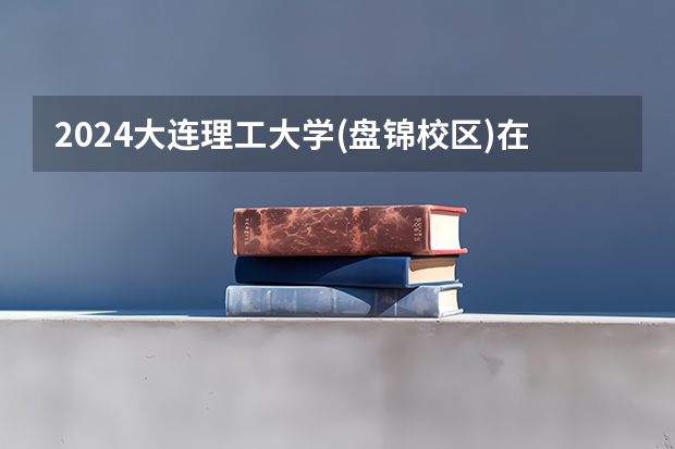 2024大连理工大学(盘锦校区)在河北招生计划人数
