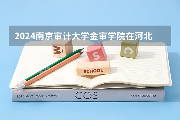 2024南京审计大学金审学院在河北招生计划人数