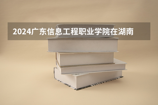 2024广东信息工程职业学院在湖南招生计划人数