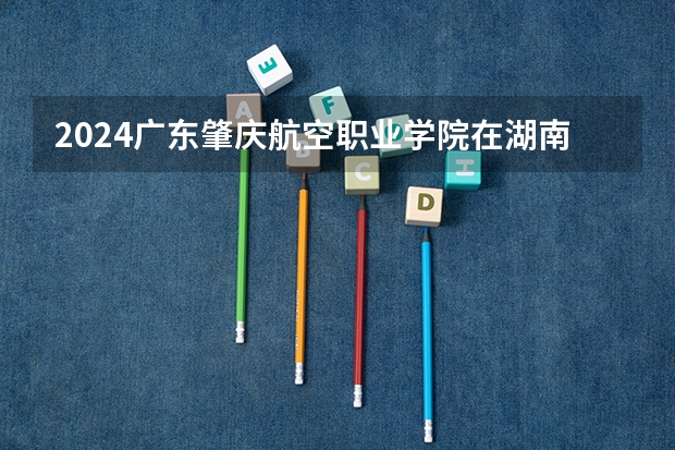 2024广东肇庆航空职业学院在湖南招生计划人数