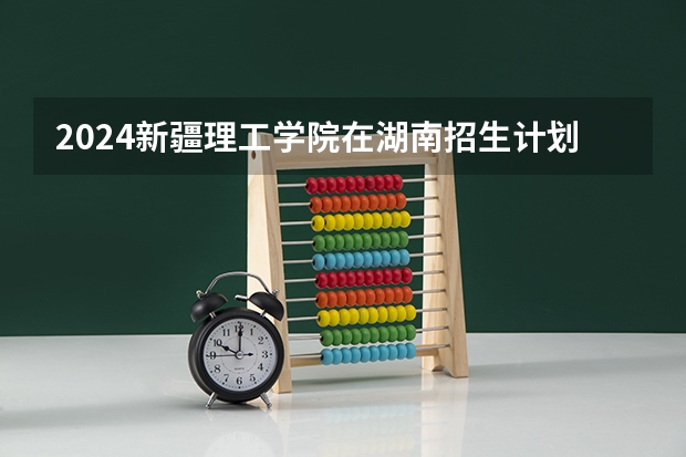 2024新疆理工学院在湖南招生计划人数