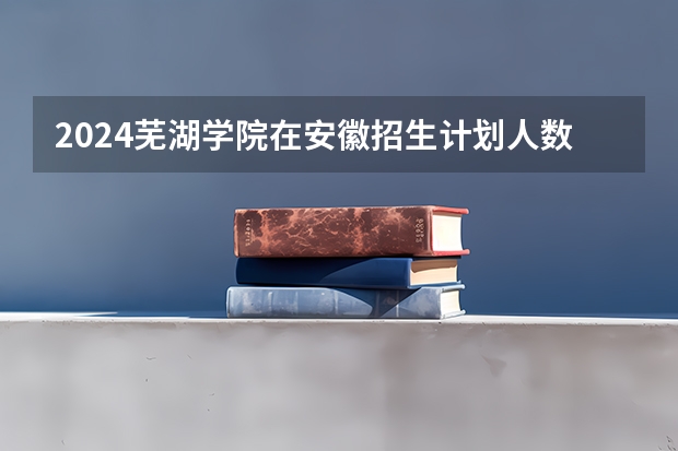 2024芜湖学院在安徽招生计划人数