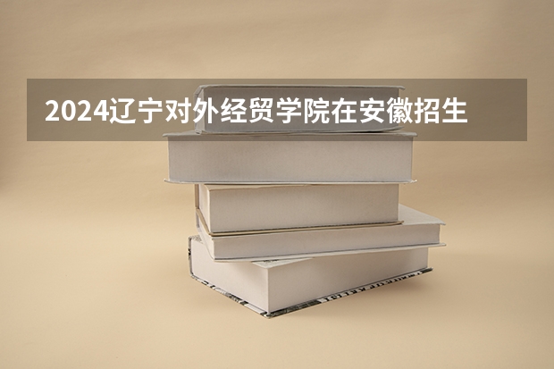 2024辽宁对外经贸学院在安徽招生计划人数
