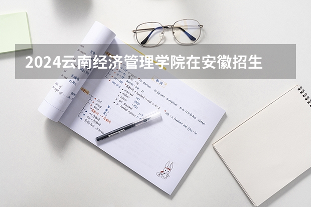 2024云南经济管理学院在安徽招生计划人数