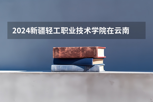 2024新疆轻工职业技术学院在云南招生计划人数