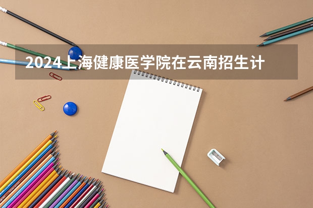 2024上海健康医学院在云南招生计划人数