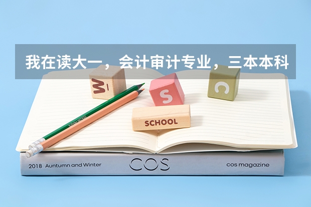 我在读大一，会计审计专业，三本本科学校，想出国考研，建议去哪个国家？最好是说英语的国家，什么学校？