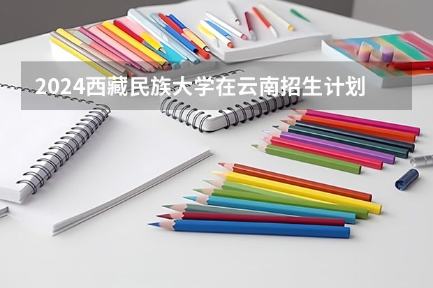 2024西藏民族大学在云南招生计划人数