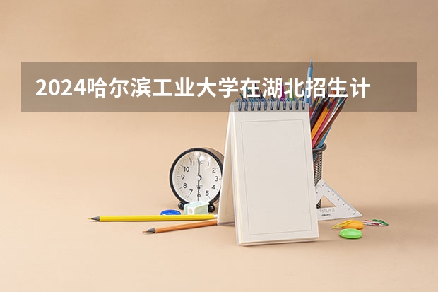 2024哈尔滨工业大学在湖北招生计划人数
