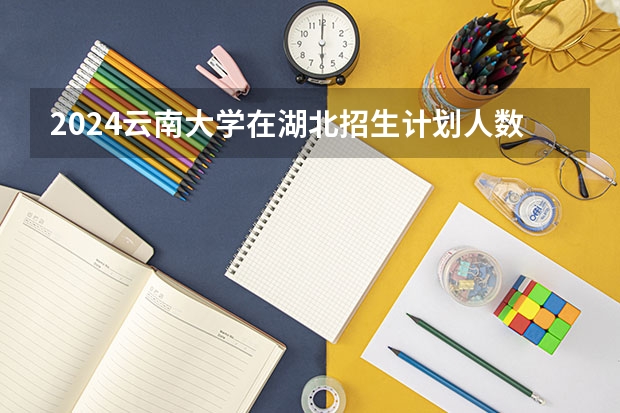 2024云南大学在湖北招生计划人数