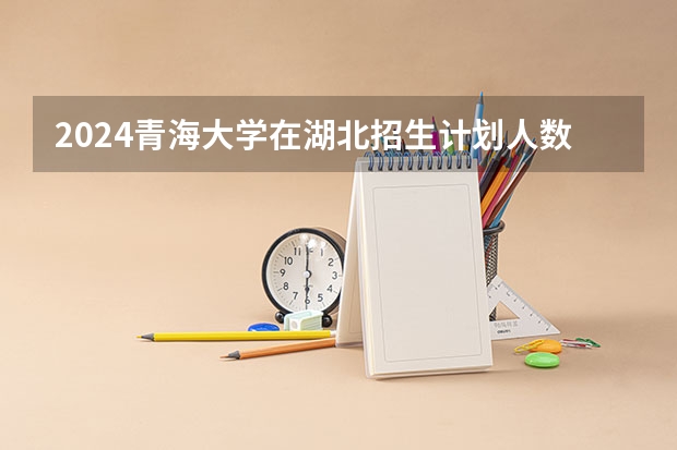 2024青海大学在湖北招生计划人数