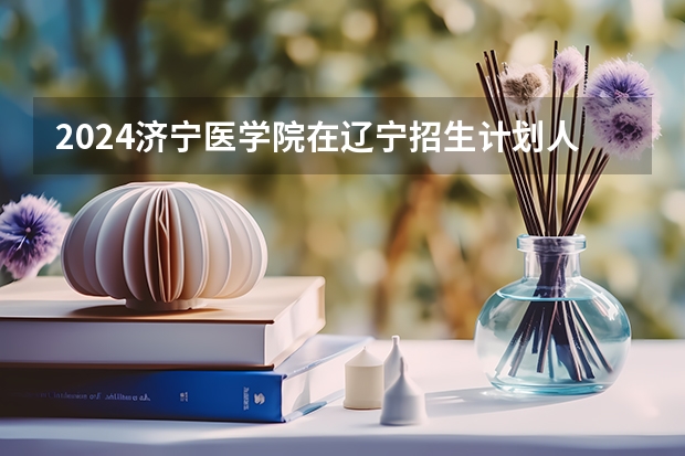 2024济宁医学院在辽宁招生计划人数