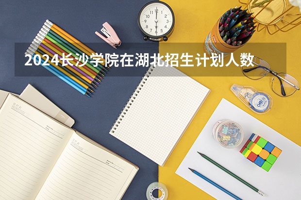 2024长沙学院在湖北招生计划人数