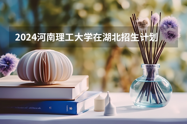 2024河南理工大学在湖北招生计划人数