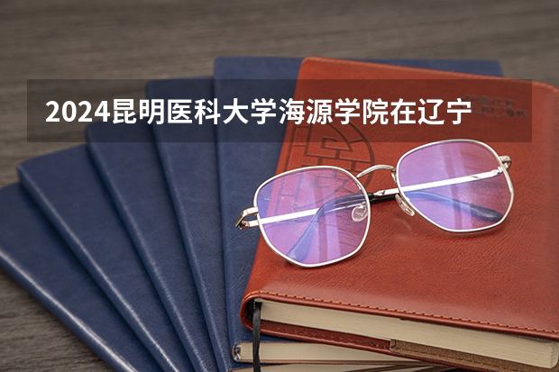 2024昆明医科大学海源学院在辽宁招生计划人数