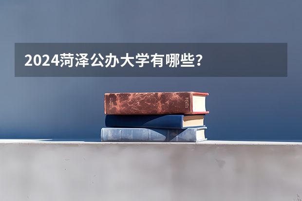 2024菏泽公办大学有哪些？