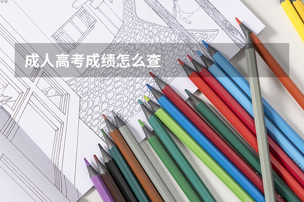 成人高考成绩怎么查