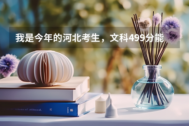 我是今年的河北考生,文科499分能上燕山大学里仁学院吗?学哪个专业考研比较好?