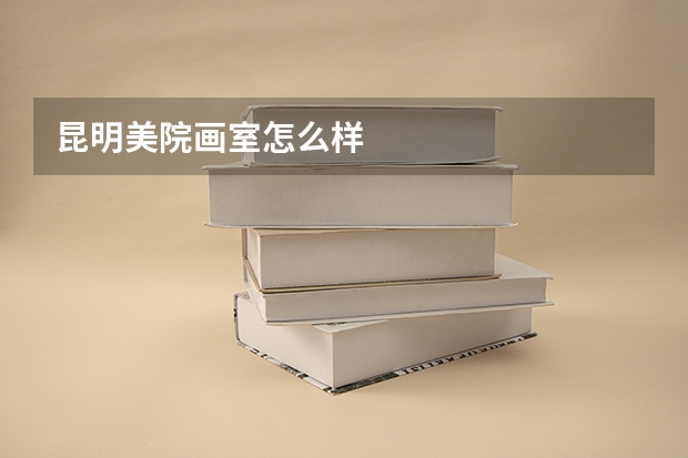 昆明美院画室怎么样