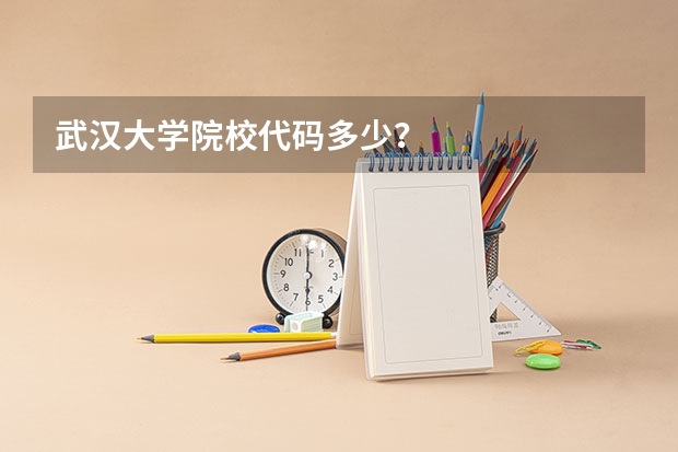 武汉大学院校代码多少？