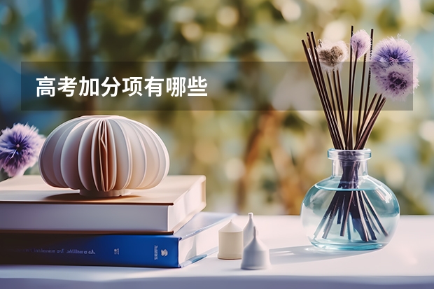 高考加分项有哪些