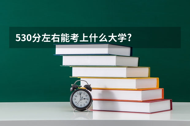530分左右能考上什么大学?