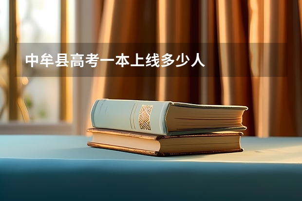 中牟县高考一本上线多少人