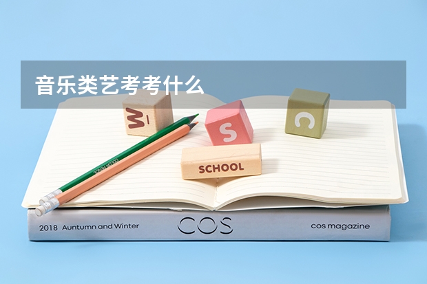 音乐类艺考考什么