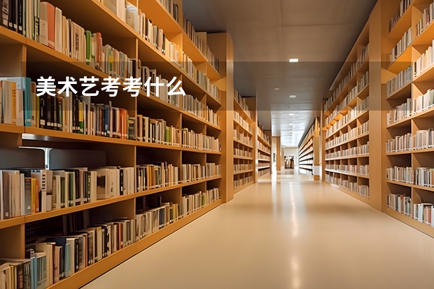 美术艺考考什么