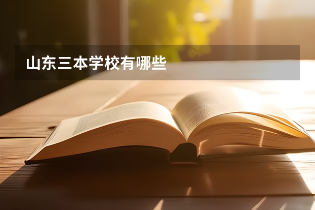 山东三本学校有哪些