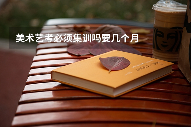 美术艺考必须集训吗要几个月